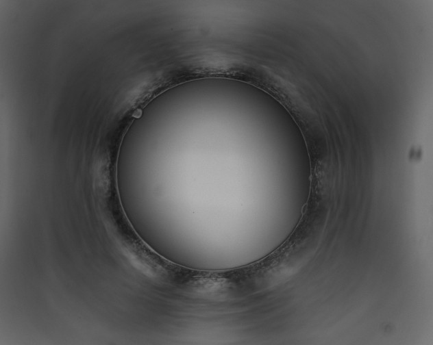X0000090410642200707131148