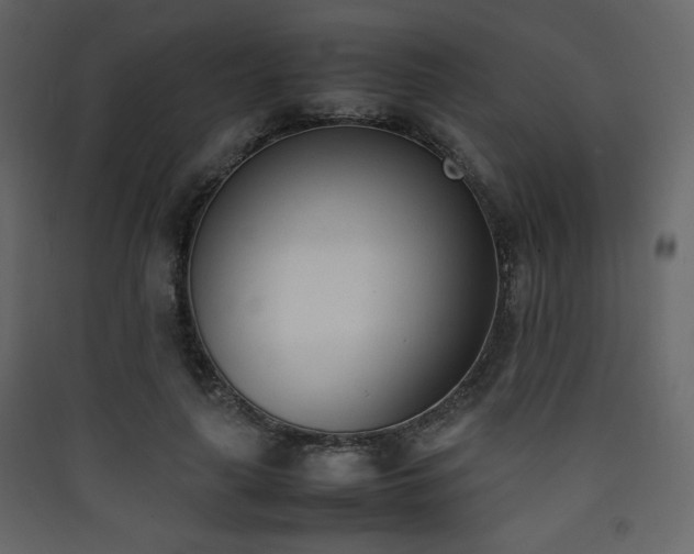 X0000090410643200707131148