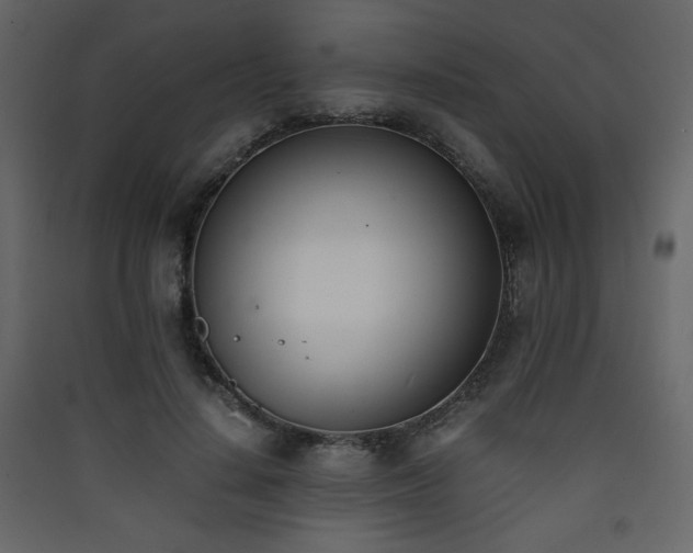 X0000090410644200707131148