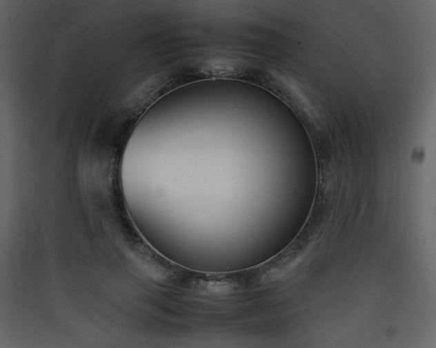 X0000090410645200707131148