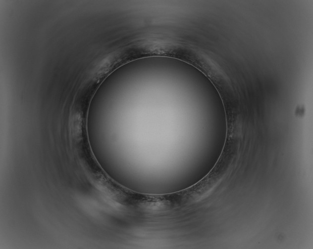 X0000090410646200707131148