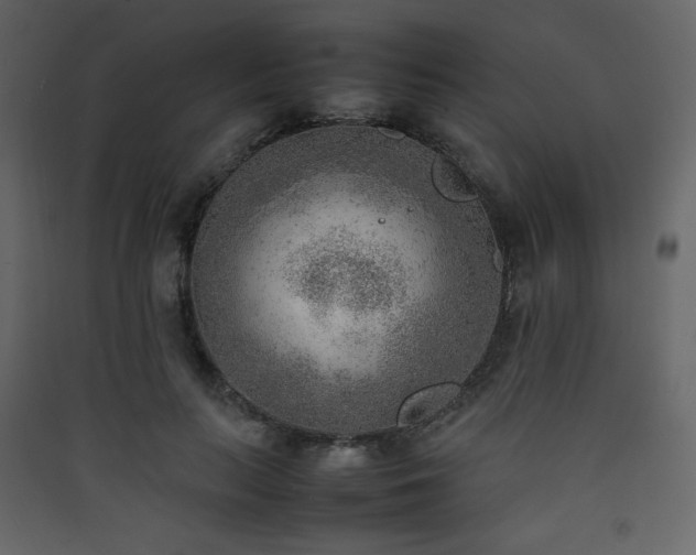 X0000090410647200707131148
