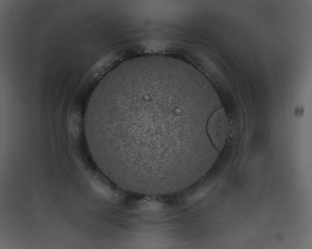X0000090410648200707131148