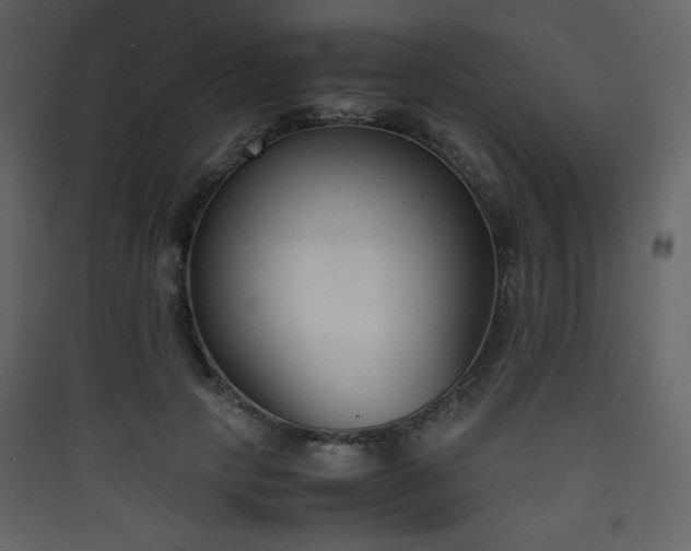 X0000090410649200707131148