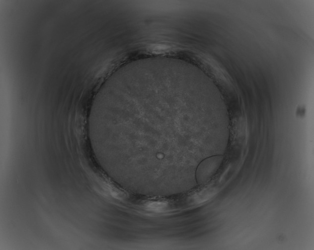 X0000090410653200707131148