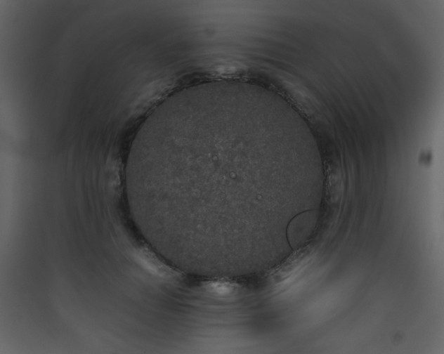 X0000090410654200707131148