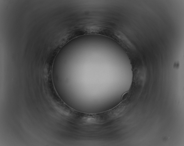 X0000090410655200707131148
