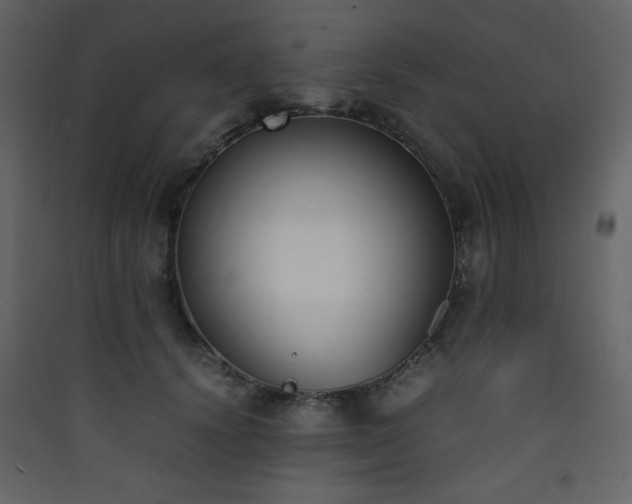 X0000090410656200707131148