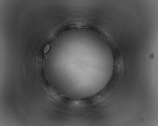 X0000090410657200707131148