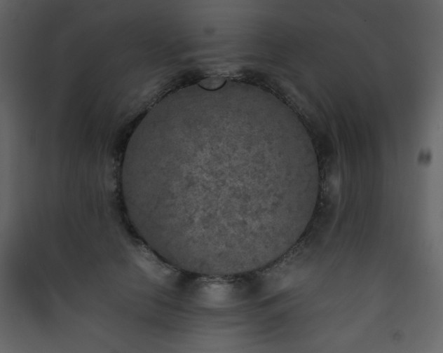 X0000090410658200707131148
