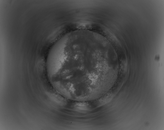 X0000090410659200707131148