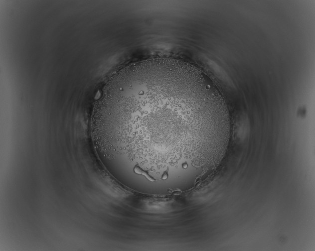 X0000090410661200707131148