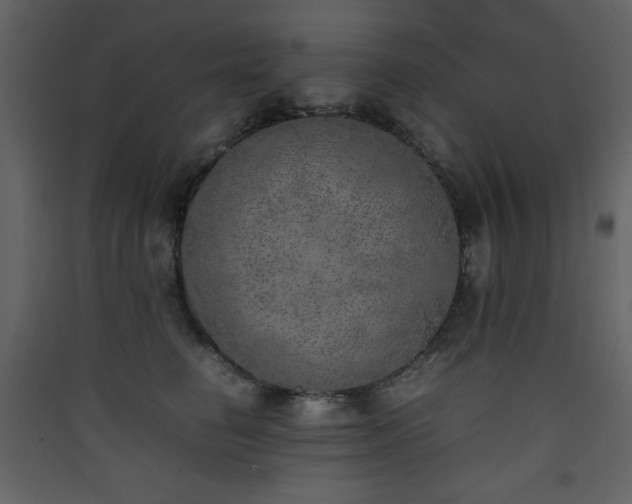X0000090410662200707131148