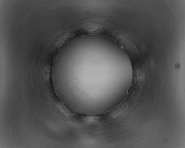 X0000090410664200707131148