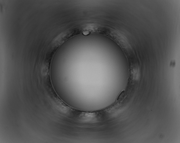 X0000090410665200707131148
