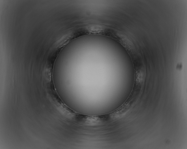X0000090410666200707131148
