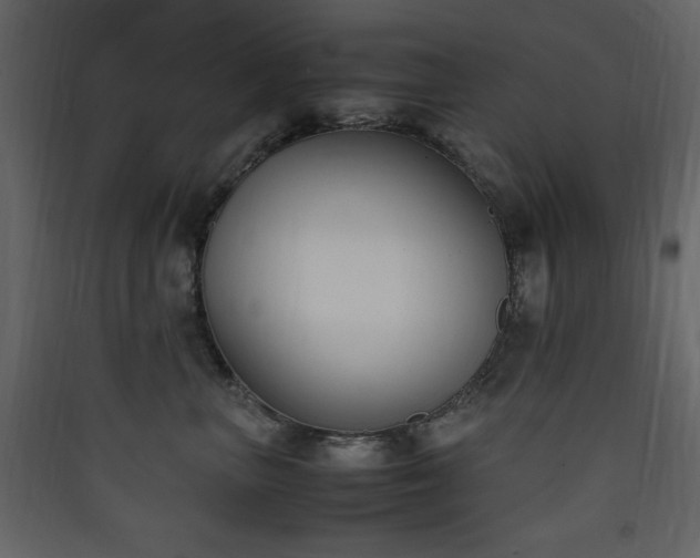 X0000090410667200707131148