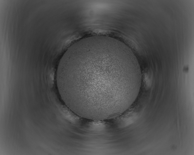 X0000090410668200707131148