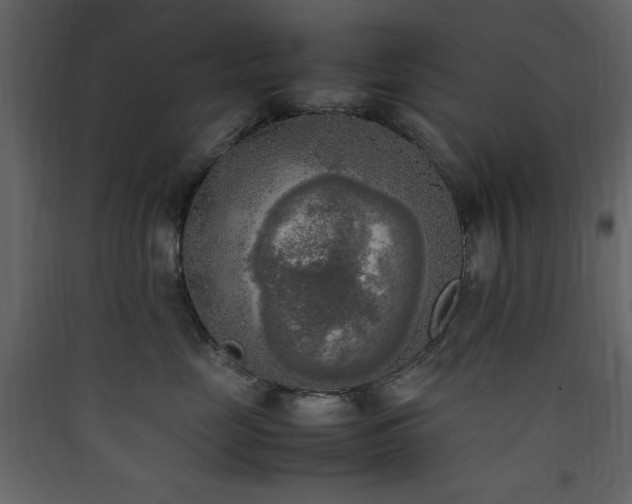 X0000090410669200707131148