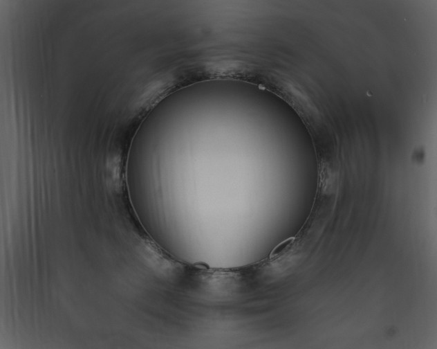 X0000090410670200707131148