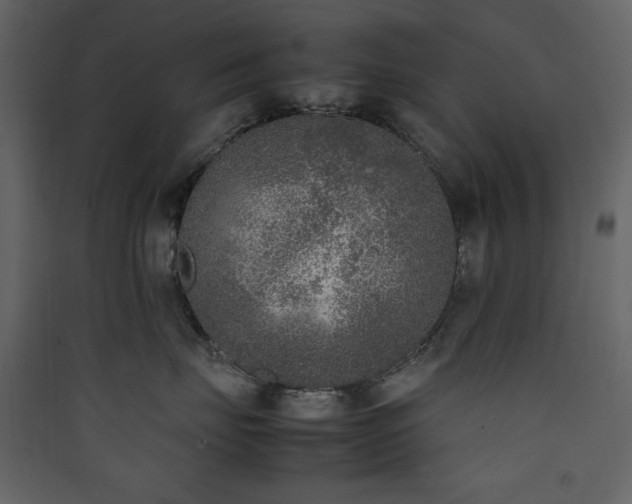 X0000090410671200707131148