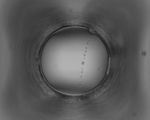 X0000090410673200707131148