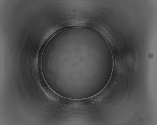 X0000090410674200707131148