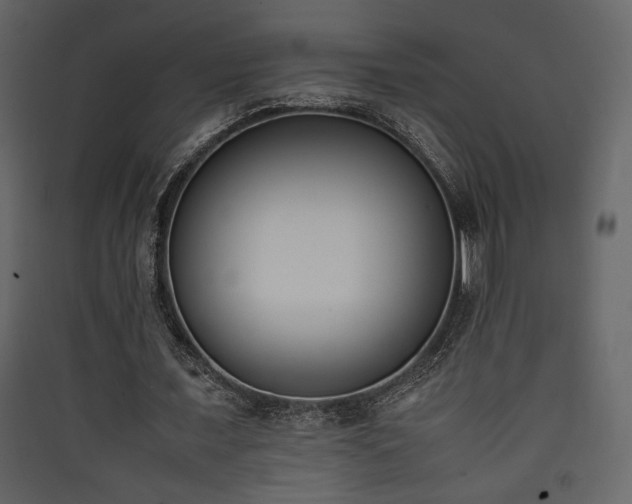 X0000090410675200707131148