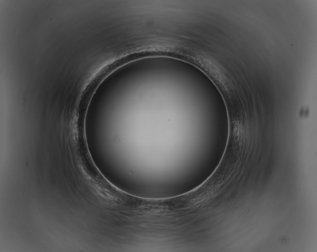 X0000090410676200707131148