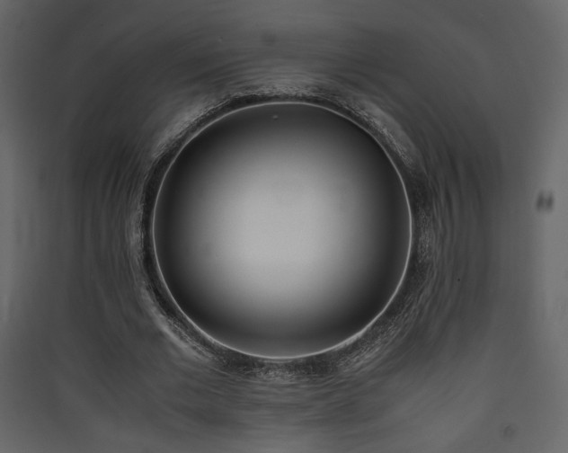 X0000090410677200707131148