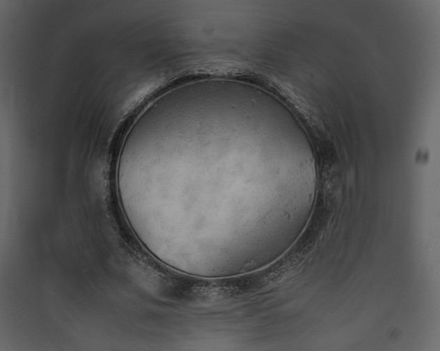 X0000090410679200707131148