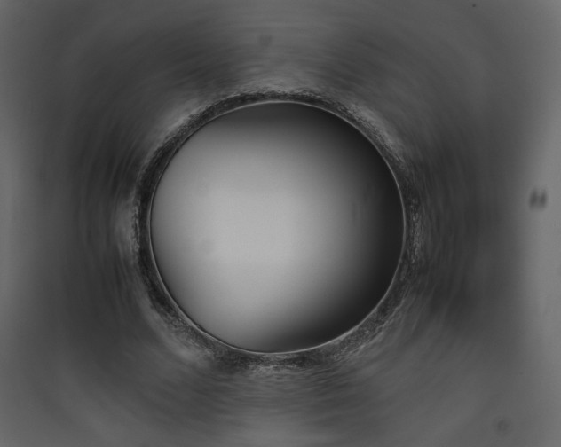 X0000090410680200707131148