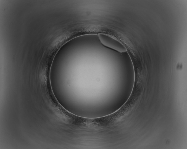 X0000090410681200707131148