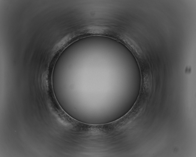 X0000090410682200707131148