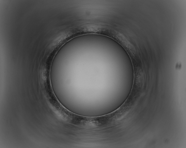 X0000090410683200707131148