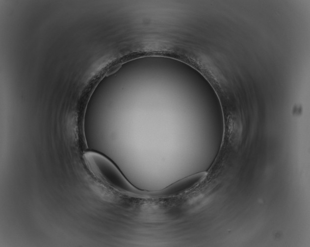 X0000090410684200707131148