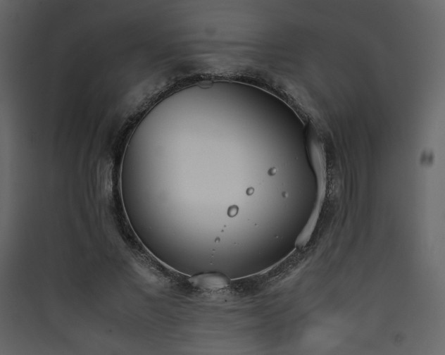 X0000090410685200707131148