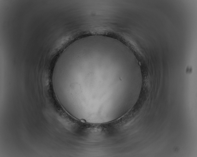 X0000090410687200707131148