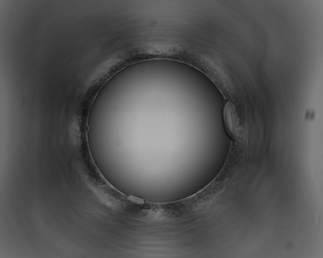 X0000090410688200707131148