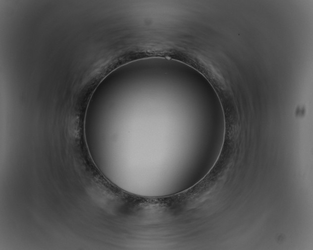 X0000090410689200707131148