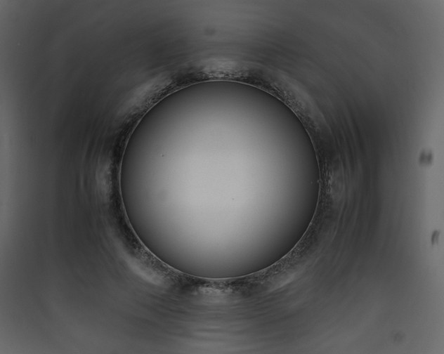 X0000090410690200707131148