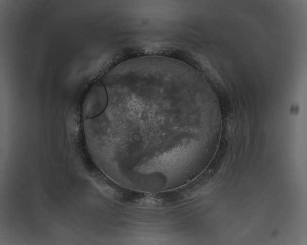 X0000090410691200707131148