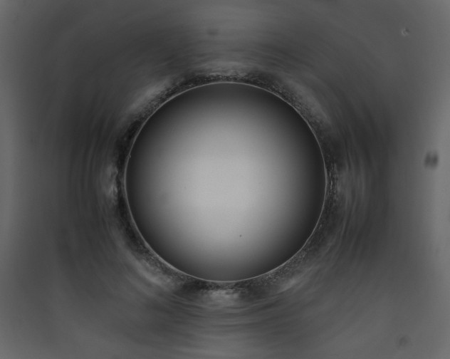 X0000090410692200707131148