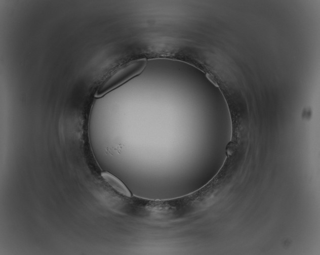X0000090410693200707131148
