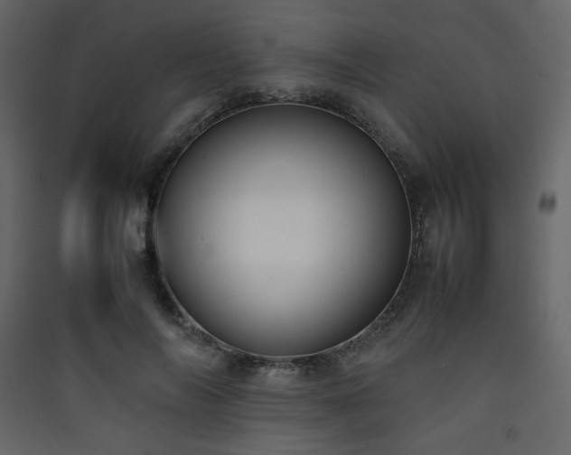 X0000090410694200707131148