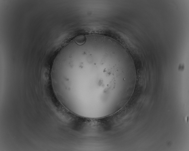 X0000090410695200707131148