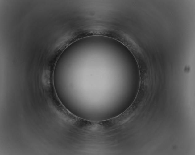 X0000090410696200707131148