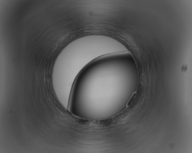 X0000090410697200707131148