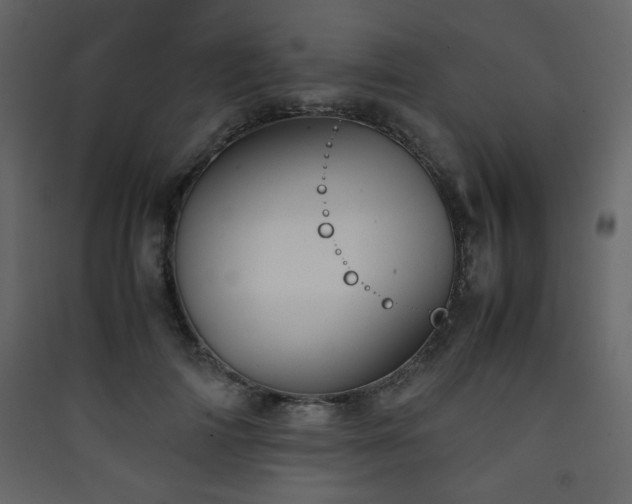 X0000090410698200707131148