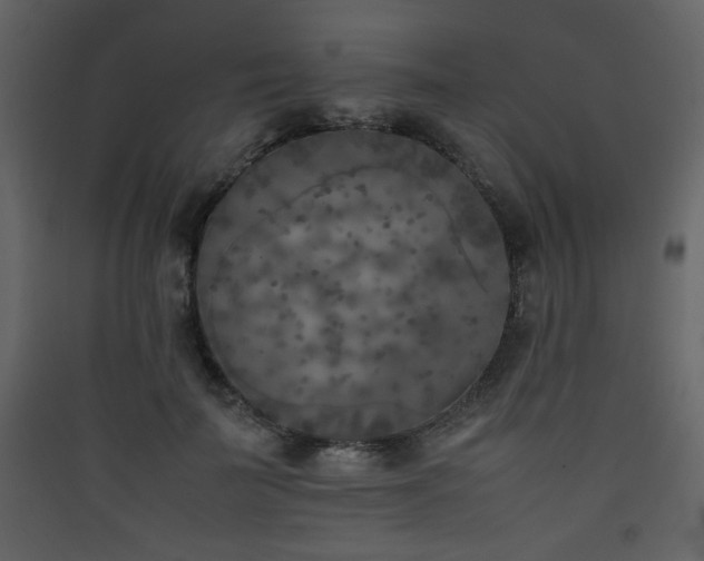 X0000090410699200707131148